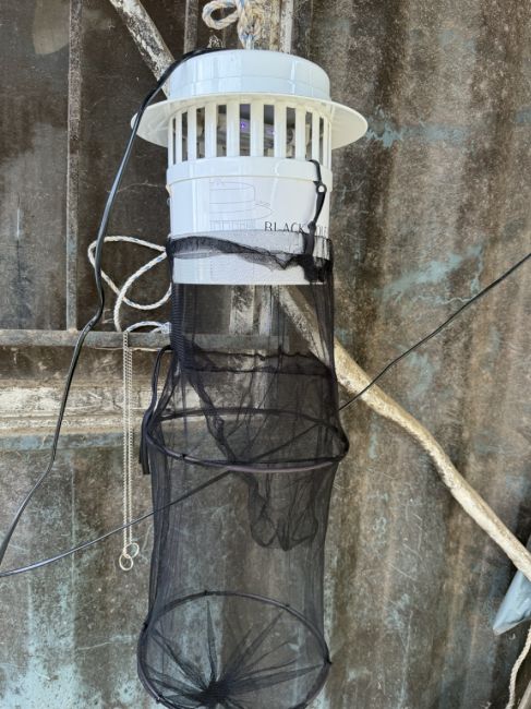 유문등(모기채집기구)(보건환경연구