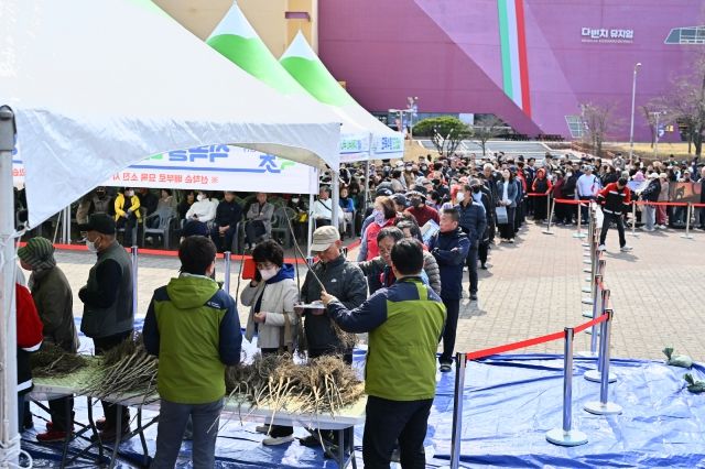 2025년 나무나누어주기 행사