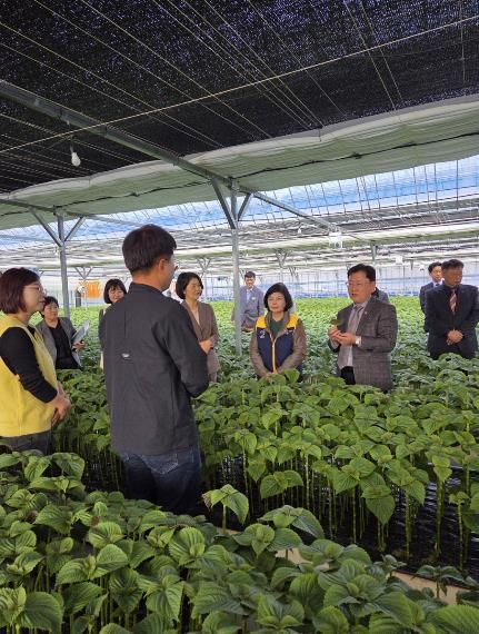 이승돈 농촌진흥청장 금산군 남일면 음대리 일원 현장 방문 모습