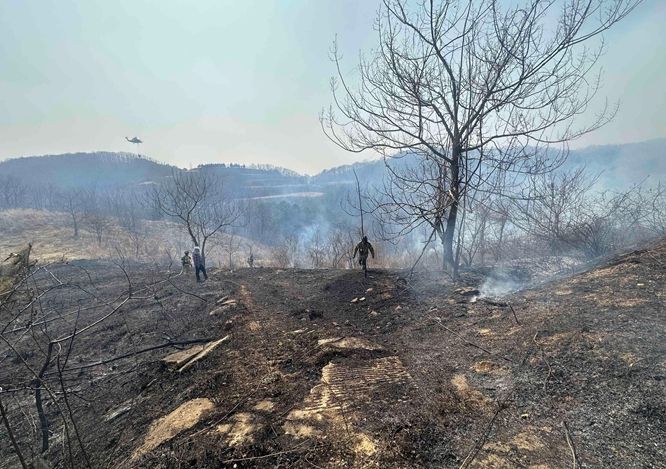 산불 현장 사진(임실군 관촌면 신전리)