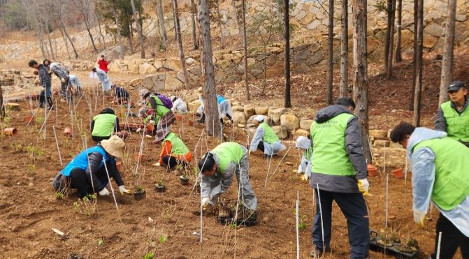 남해군, 식목일 맞아 자연휴양림 나무심기 행사