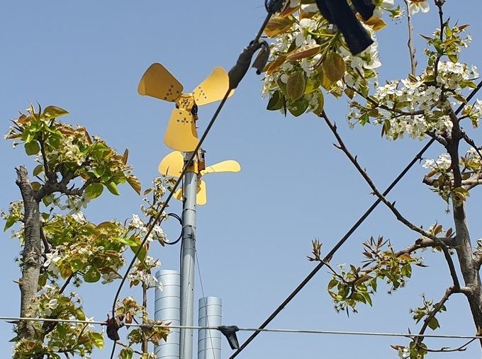 저온서리피해를 예방하기 위해 설치된 방상팬.
