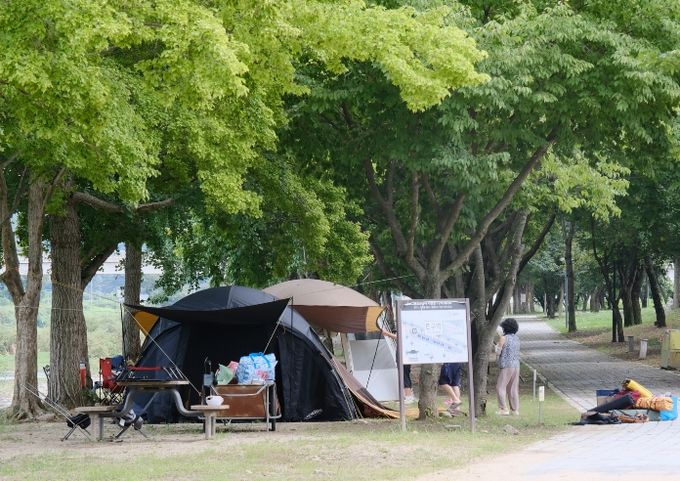 영동 송호관광지, 봄과 함께 오는 4월 3일 야영장 개장