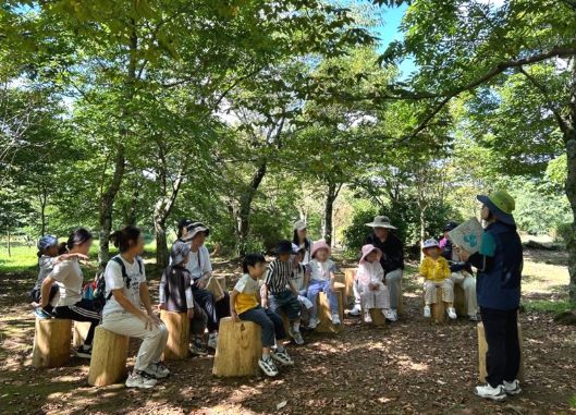 한라생태숲 산림복지프로그램(유아숲교육)