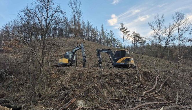 산불피해지 벌채사면 정비계획