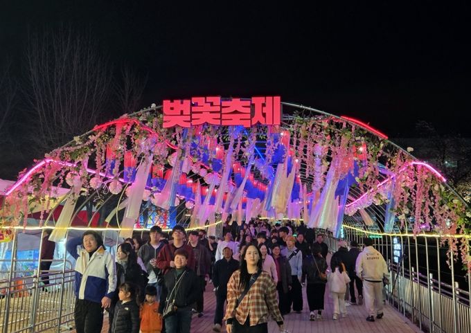 안동 벚꽃축제 성황 속 개막