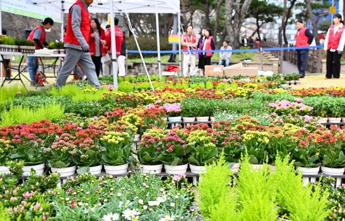 대전 중구, 제81회 식목일 기념‘내 나무 갖기’행사 성황리 개최