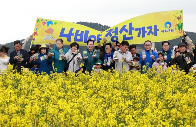 완도 청산도 슬로걷기 축제 개막(개막 행사 중 하나인 나비 날리기 퍼포먼스)