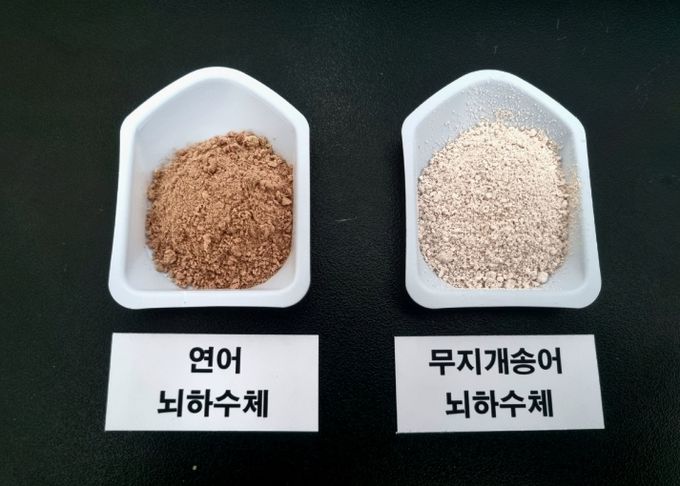 민물장어 인공종자 생산 연구