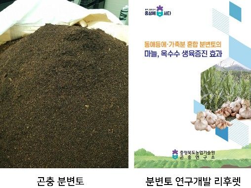 충북농기원, 검증 기술로 곤충 농가 경영비 부담 완화