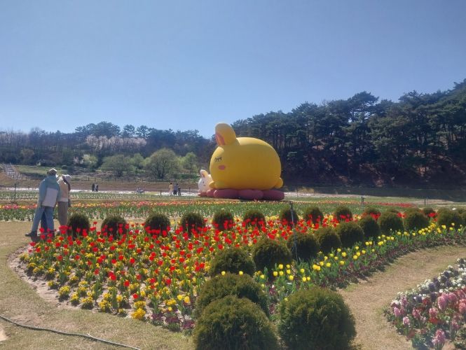 고창 꽃정원 페스타