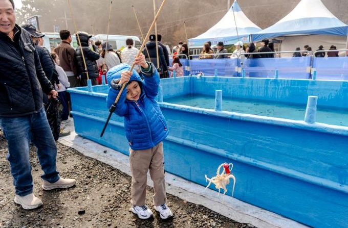 제24회 서천 동백꽃 주꾸미 축제, 27만 명 인파 몰려