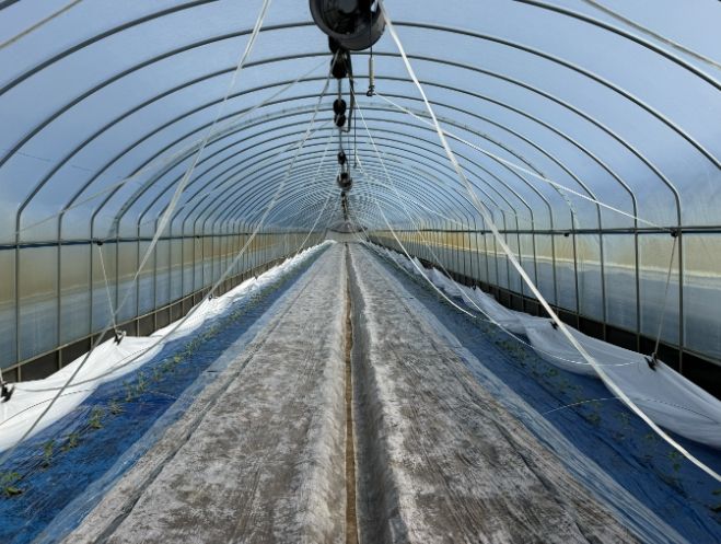 소형 자동화 개폐기 도입으로 수박 재배 노동력 90% 절감