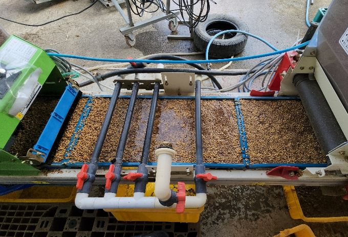 볍씨 파종기를 이용한 종자 파종 모습