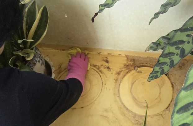 홍성군 결성면 생활지원사들, 홀몸 어르신에 따뜻한 봄 선물