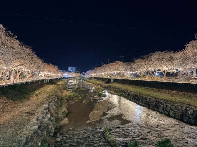 금산군 금산천 야경