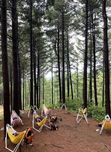 국립횡성숲체원 힐링타임 프로그램 참가자들이 해먹 체험을 하고 있다. 한국산림복지진흥원 국립횡성숲체원 제공