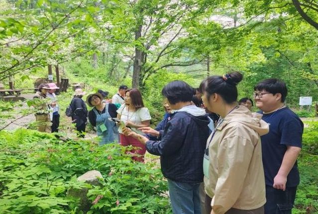 산림교육 프로그램 참여자 모습. 한국산림복지진흥원 국립횡성숲체원 제공