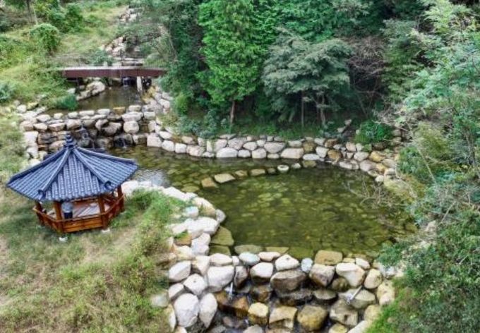 2025년 산림유역관리사업(창원 진해 장전치구)